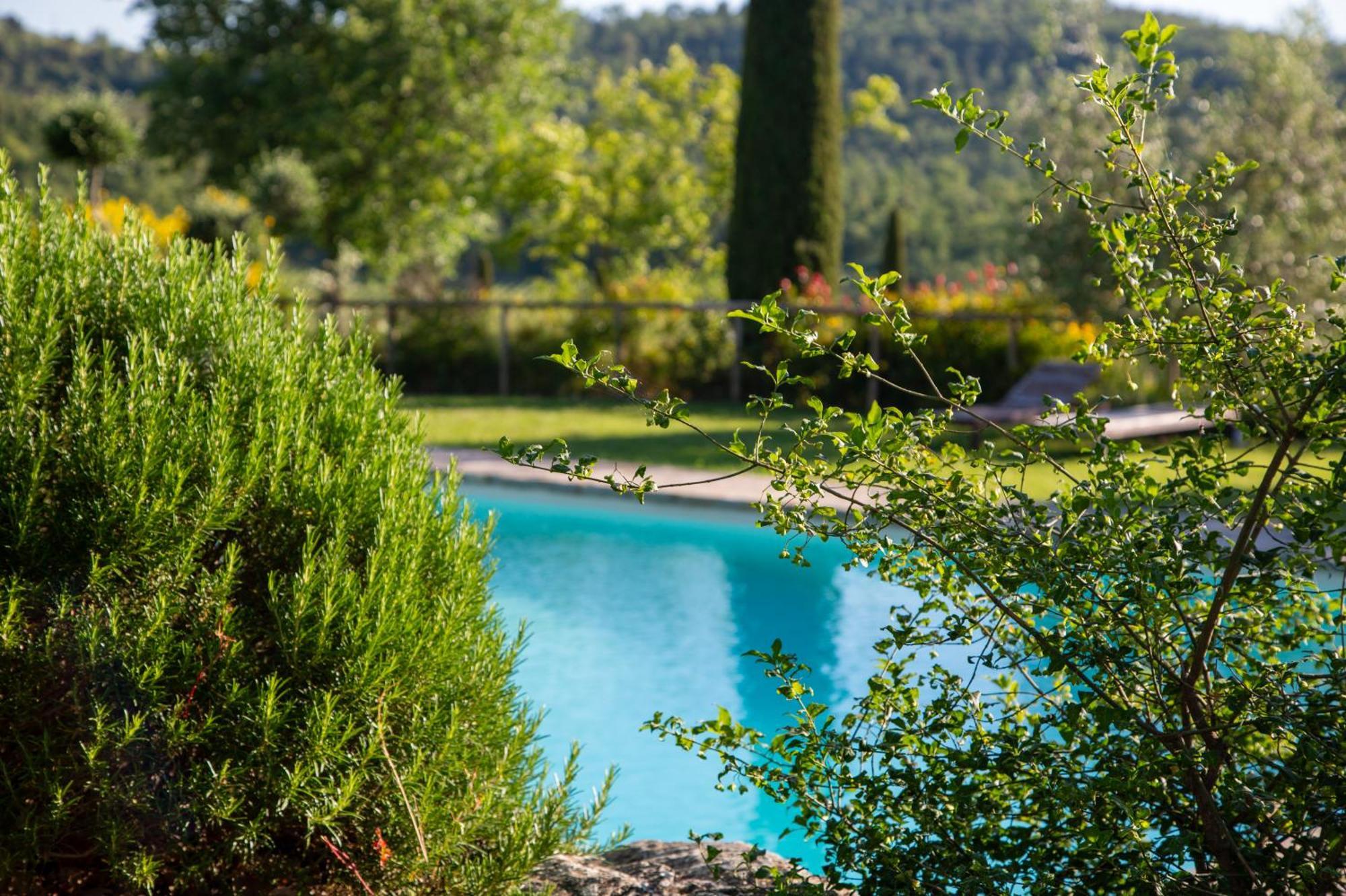 Colombaio Di Cencio Apartman Gaiole in Chianti Kültér fotó